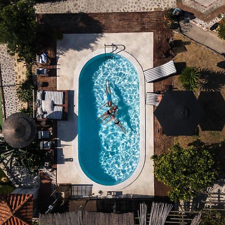 Joao Jungle Apartment Acafora Bagian luar foto